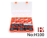 H100